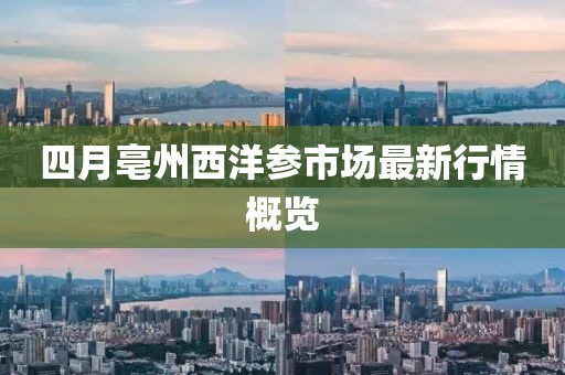 四月亳州西洋参市场最新行情概览