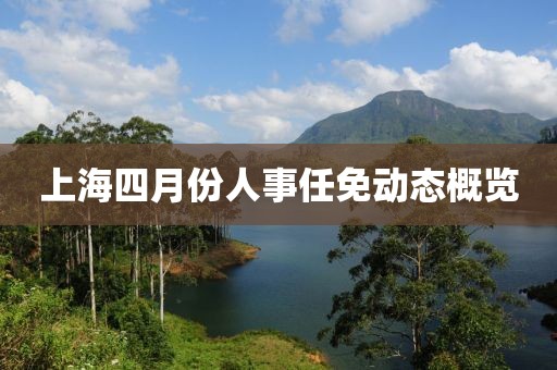 上海四月份人事任免动态概览