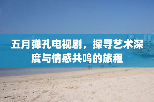 五月弹孔电视剧，探寻艺术深度与情感共鸣的旅程