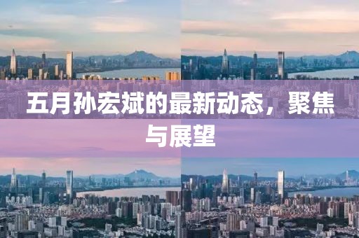 五月孙宏斌的最新动态，聚焦与展望