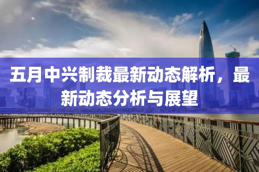 五月中兴制裁最新动态解析，最新动态分析与展望
