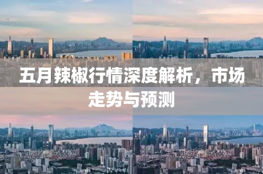 五月辣椒行情深度解析，市场走势与预测