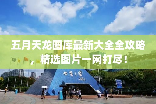 五月天龙图库最新大全全攻略，精选图片一网打尽！