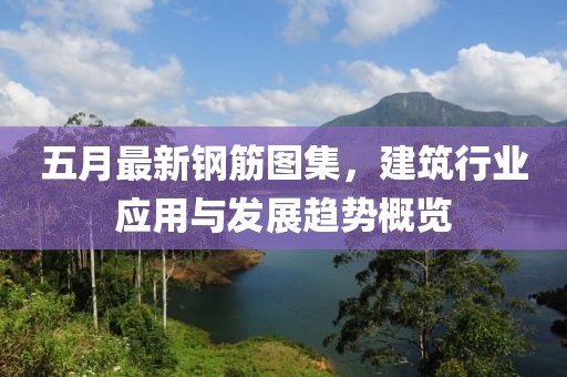 五月最新钢筋图集，建筑行业应用与发展趋势概览