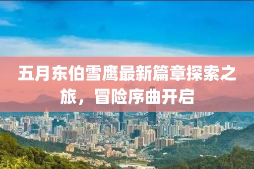 五月东伯雪鹰最新篇章探索之旅，冒险序曲开启