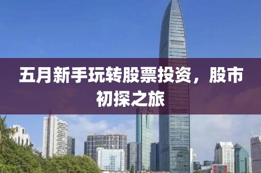 五月新手玩转股票投资，股市初探之旅