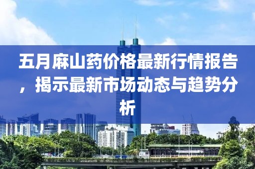 五月麻山药价格最新行情报告，揭示最新市场动态与趋势分析