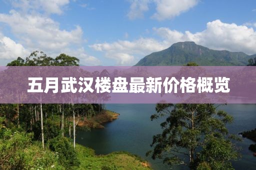 五月武汉楼盘最新价格概览