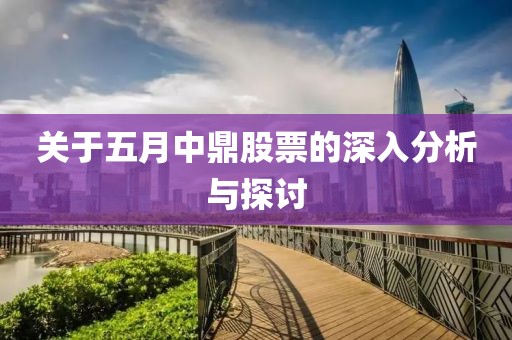 关于五月中鼎股票的深入分析与探讨