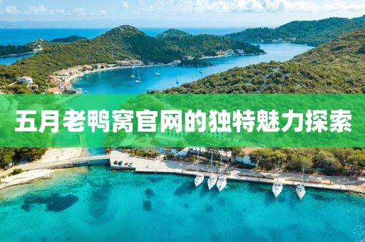 五月老鸭窝官网的独特魅力探索