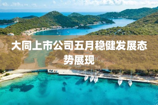 大同上市公司五月稳健发展态势展现