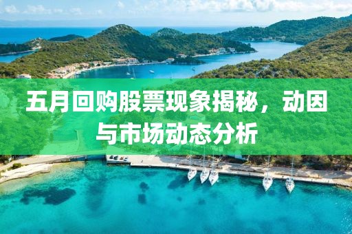 五月回购股票现象揭秘，动因与市场动态分析