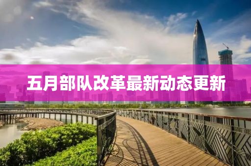 五月部队改革最新动态更新
