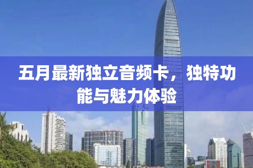 五月最新独立音频卡，独特功能与魅力体验