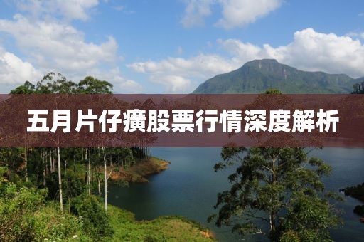 五月片仔癀股票行情深度解析