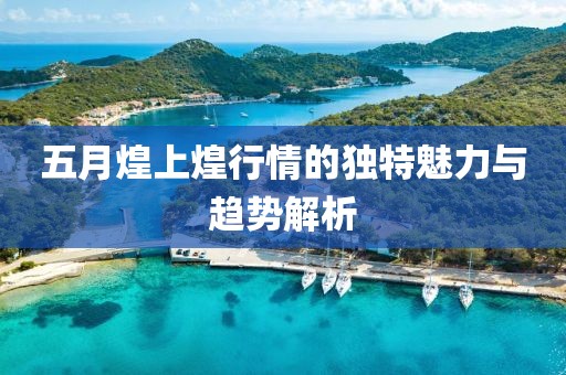 五月煌上煌行情的独特魅力与趋势解析