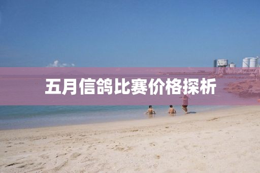 五月信鸽比赛价格探析