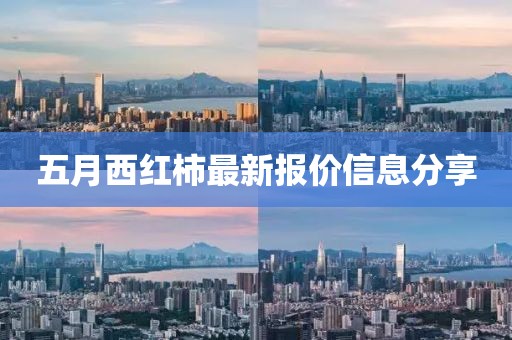 五月西红柿最新报价信息分享