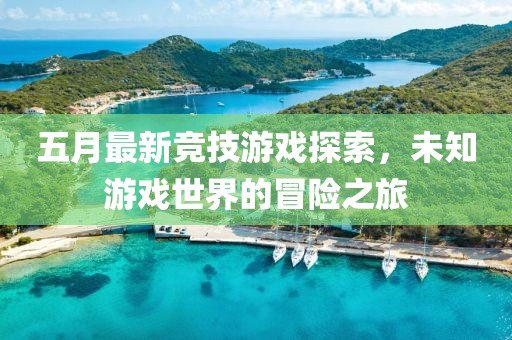 五月最新竞技游戏探索，未知游戏世界的冒险之旅