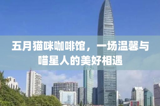 五月猫咪咖啡馆，一场温馨与喵星人的美好相遇