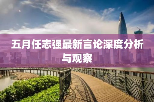 五月任志强最新言论深度分析与观察