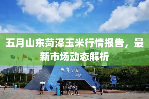 五月山东菏泽玉米行情报告，最新市场动态解析