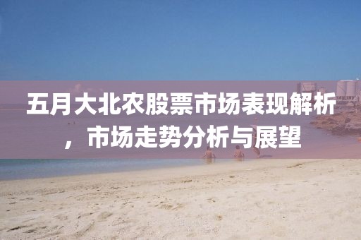 五月大北农股票市场表现解析，市场走势分析与展望
