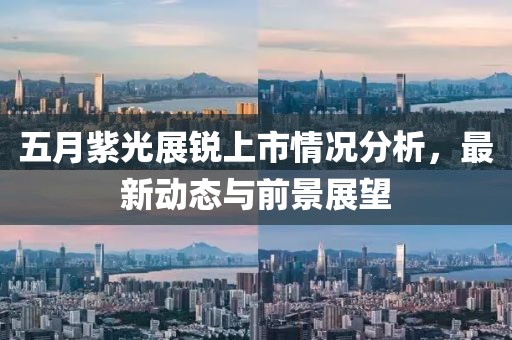 五月紫光展锐上市情况分析，最新动态与前景展望