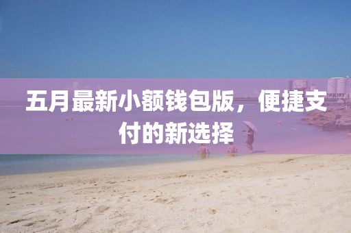 五月最新小额钱包版，便捷支付的新选择
