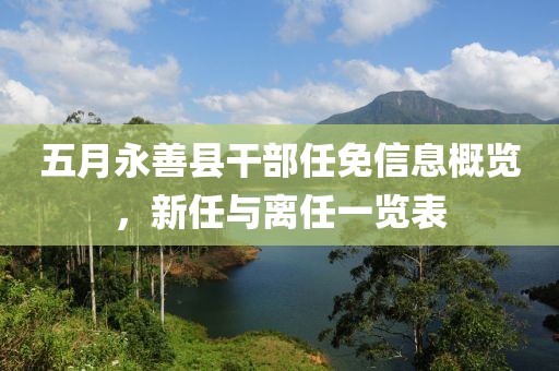 五月永善县干部任免信息概览，新任与离任一览表
