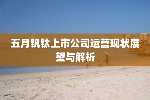 五月钒钛上市公司运营现状展望与解析