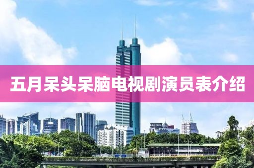 五月呆头呆脑电视剧演员表介绍