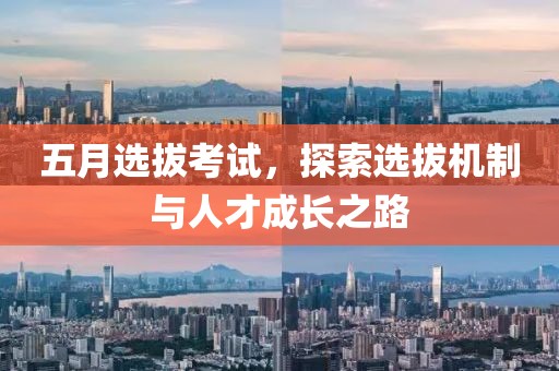 五月选拔考试，探索选拔机制与人才成长之路