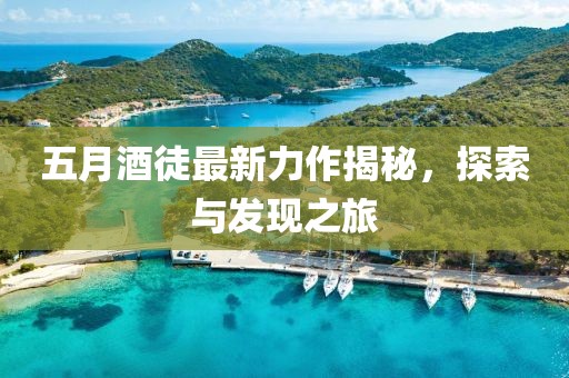 五月酒徒最新力作揭秘，探索与发现之旅