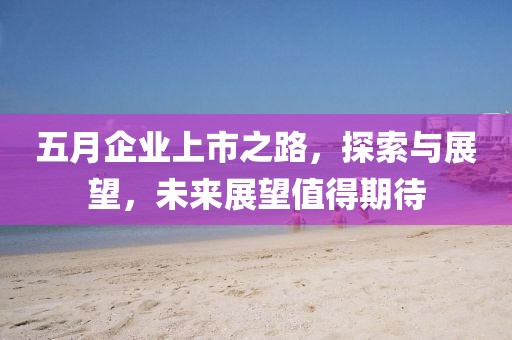 五月企业上市之路，探索与展望，未来展望值得期待