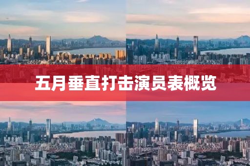 五月垂直打击演员表概览