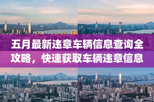 五月最新违章车辆信息查询全攻略，快速获取车辆违章信息