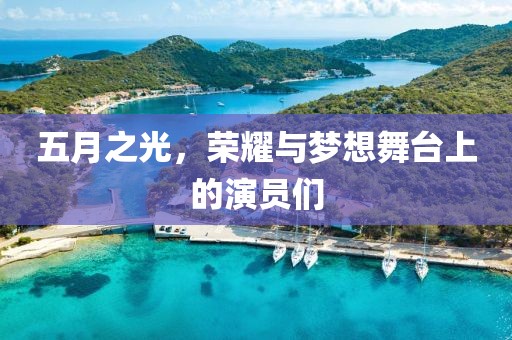 五月之光，荣耀与梦想舞台上的演员们