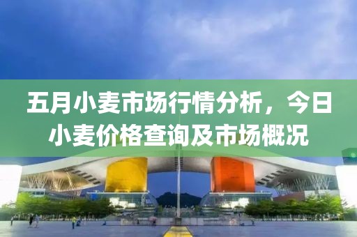 五月小麦市场行情分析，今日小麦价格查询及市场概况