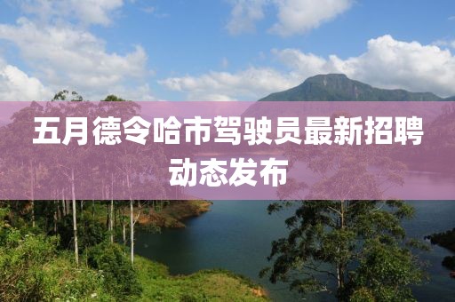 五月德令哈市驾驶员最新招聘动态发布