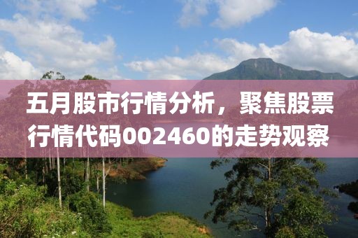 五月股市行情分析，聚焦股票行情代码002460的走势观察
