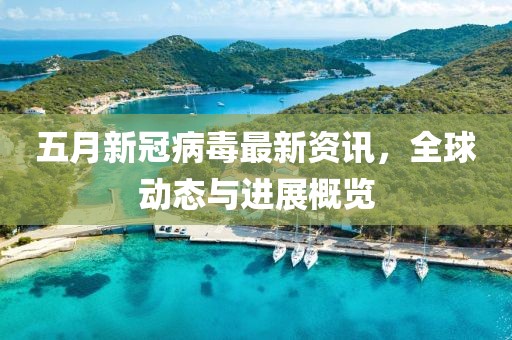 五月新冠病毒最新资讯，全球动态与进展概览