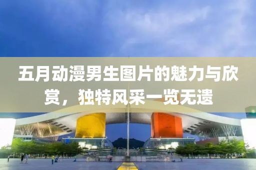 五月动漫男生图片的魅力与欣赏，独特风采一览无遗