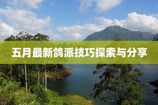 五月最新鸽派技巧探索与分享