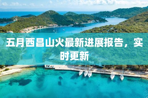 五月西昌山火最新进展报告，实时更新