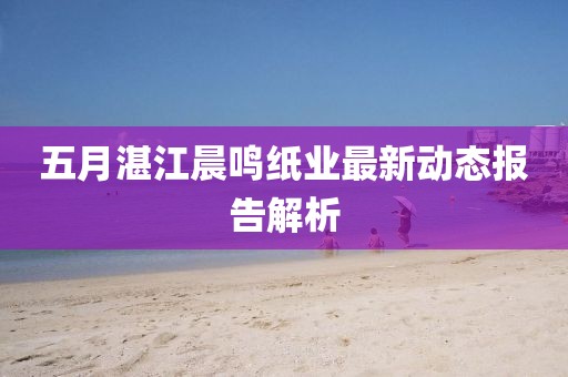 五月湛江晨鸣纸业最新动态报告解析