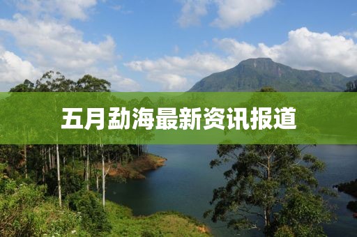 五月勐海最新资讯报道