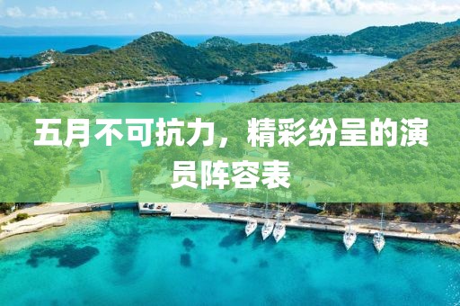 五月不可抗力，精彩纷呈的演员阵容表