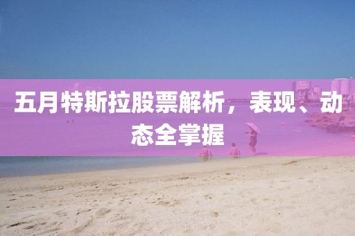 五月特斯拉股票解析，表现、动态全掌握