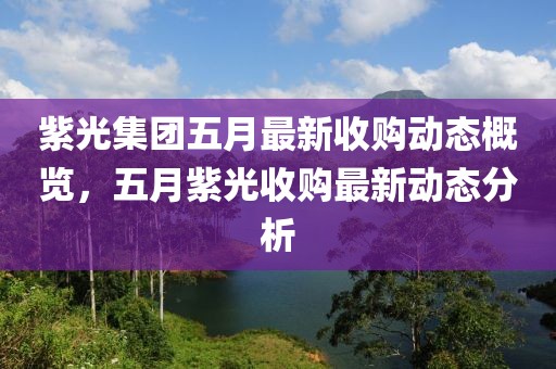 紫光集团五月最新收购动态概览，五月紫光收购最新动态分析